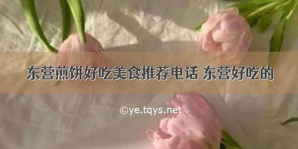 东营煎饼好吃美食推荐电话 东营好吃的