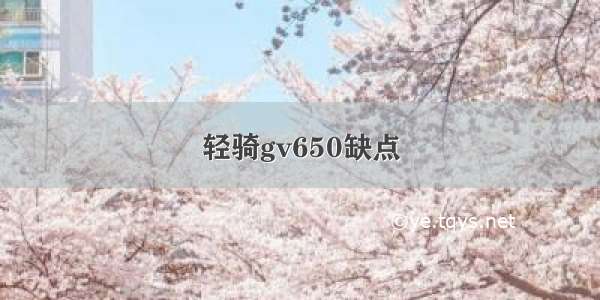 轻骑gv650缺点