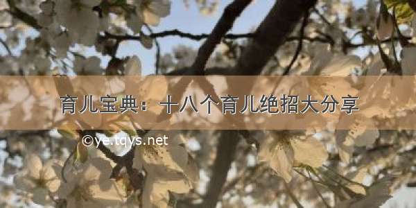 育儿宝典：十八个育儿绝招大分享