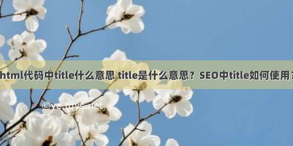 html代码中title什么意思 title是什么意思？SEO中title如何使用？