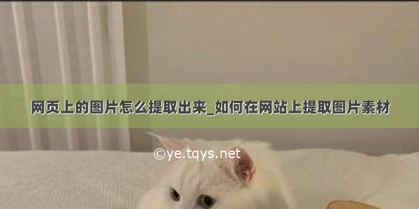 网页上的图片怎么提取出来_如何在网站上提取图片素材