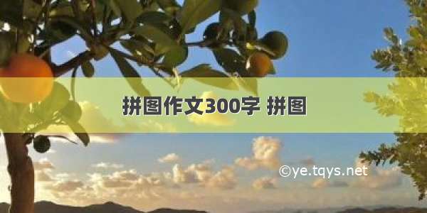 拼图作文300字 拼图