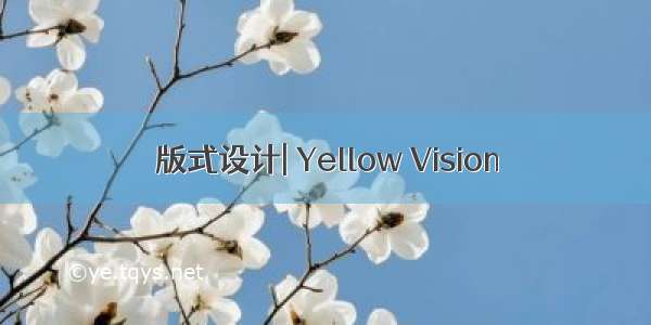 版式设计| Yellow Vision