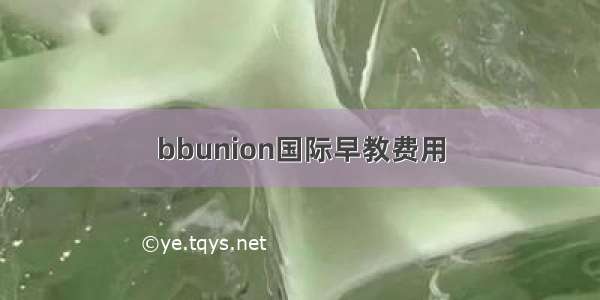 bbunion国际早教费用