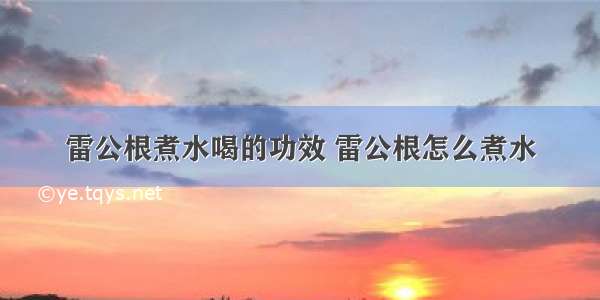 雷公根煮水喝的功效 雷公根怎么煮水