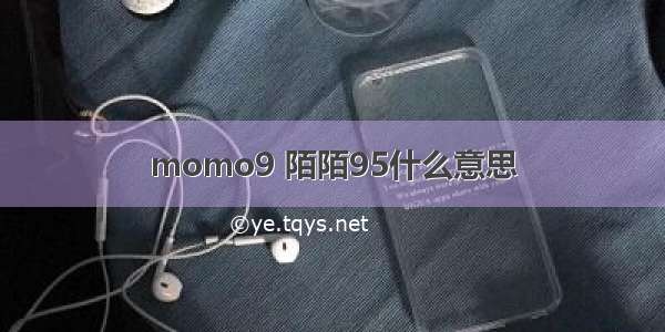 momo9 陌陌95什么意思