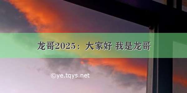 龙哥2025：大家好 我是龙哥