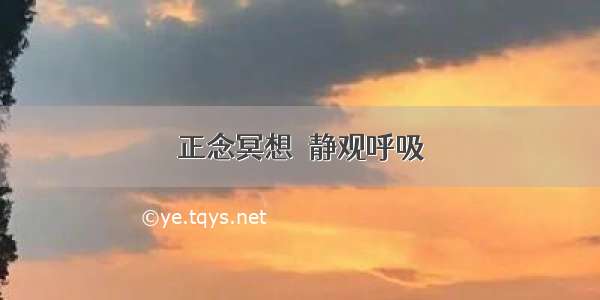 正念冥想｜静观呼吸