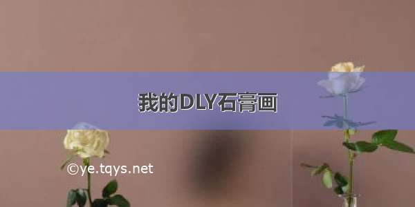 我的DLY石膏画