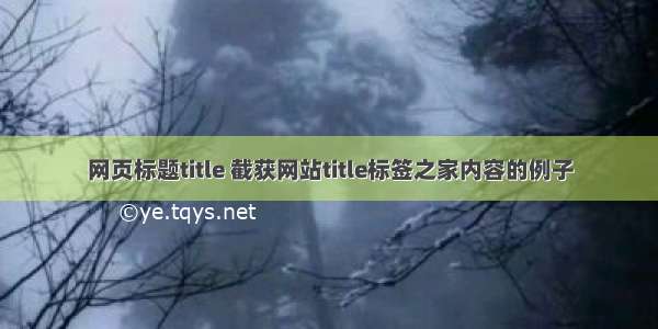 网页标题title 截获网站title标签之家内容的例子