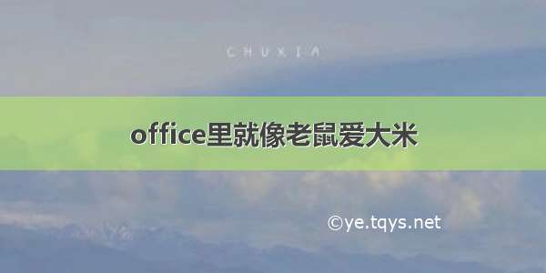 office里就像老鼠爱大米