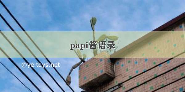 papi酱语录