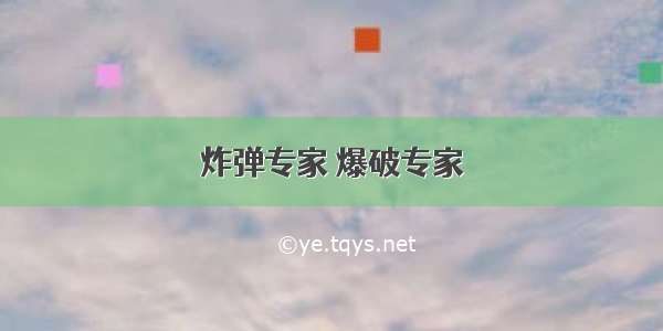 炸弹专家 爆破专家