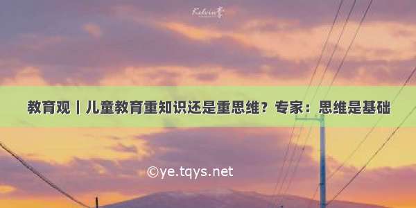 教育观｜儿童教育重知识还是重思维？专家：思维是基础