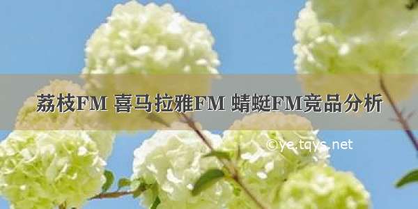 荔枝FM 喜马拉雅FM 蜻蜓FM竞品分析