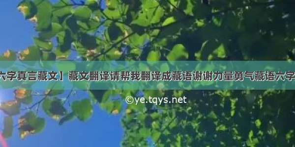 【六字真言藏文】藏文翻译请帮我翻译成藏语谢谢力量勇气藏语六字真言