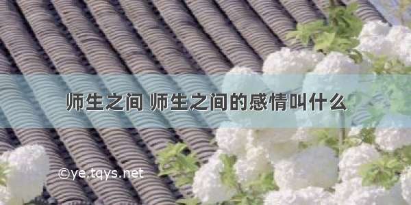 师生之间 师生之间的感情叫什么