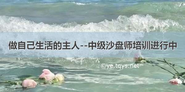 做自己生活的主人--中级沙盘师培训进行中