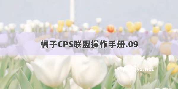 橘子CPS联盟操作手册.09