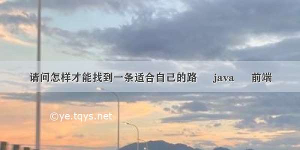 请问怎样才能找到一条适合自己的路 – java – 前端