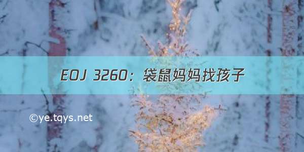 EOJ 3260：袋鼠妈妈找孩子