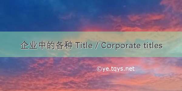 企业中的各种 Title / Corporate titles