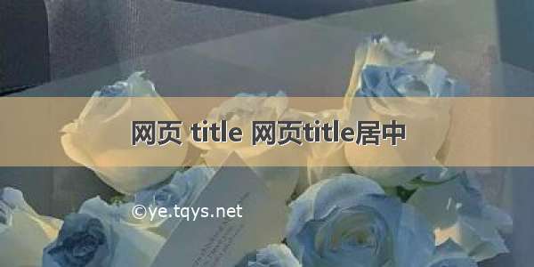 网页 title 网页title居中