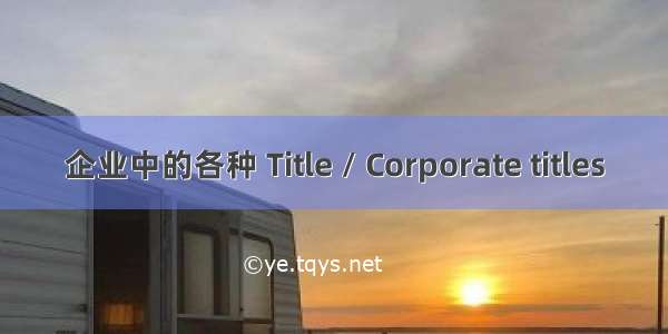 企业中的各种 Title / Corporate titles