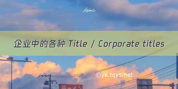 企业中的各种 Title / Corporate titles