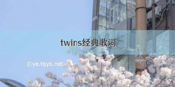 twins经典歌词