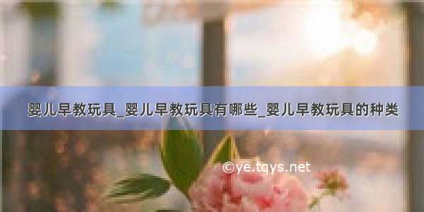 婴儿早教玩具_婴儿早教玩具有哪些_婴儿早教玩具的种类