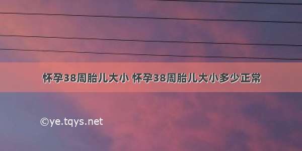 怀孕38周胎儿大小 怀孕38周胎儿大小多少正常