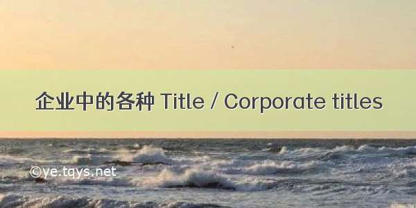 企业中的各种 Title / Corporate titles