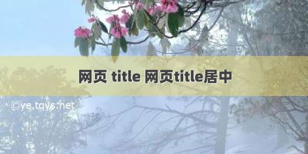 网页 title 网页title居中