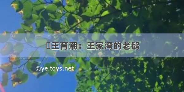 ​王育潮：王家湾的老鹅