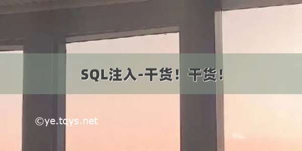 SQL注入-干货！干货！