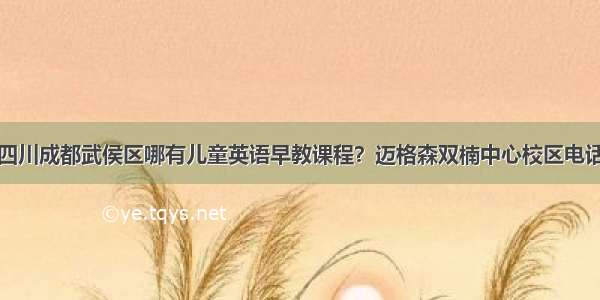 四川成都武侯区哪有儿童英语早教课程？迈格森双楠中心校区电话