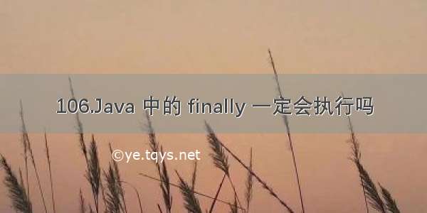 106.Java 中的 finally 一定会执行吗