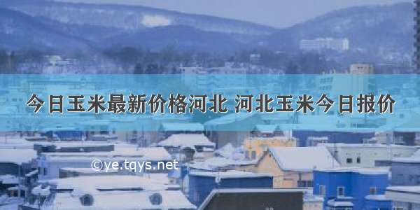 今日玉米最新价格河北 河北玉米今日报价