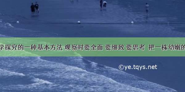 观察是科学探究的一种基本方法 观察时要全面 要细致 要思考．把一株幼嫩的植物放在