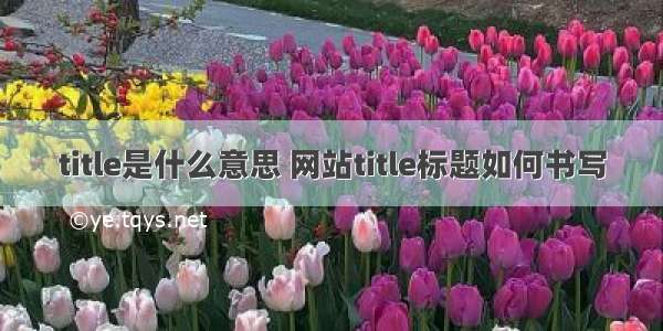 title是什么意思 网站title标题如何书写