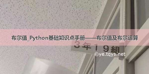 布尔值_Python基础知识点手册——布尔值及布尔运算