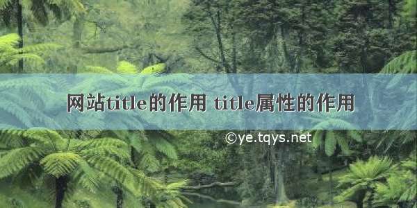 网站title的作用 title属性的作用