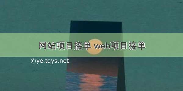 网站项目接单 web项目接单