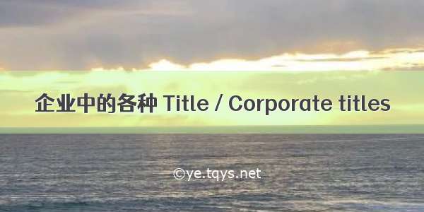 企业中的各种 Title / Corporate titles