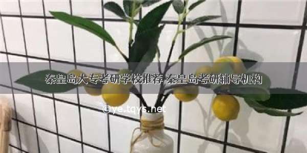 秦皇岛大专考研学校推荐 秦皇岛考研辅导机构