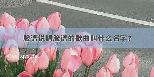 脸谱说唱脸谱的歌曲叫什么名字？