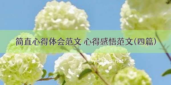 简直心得体会范文 心得感悟范文(四篇)