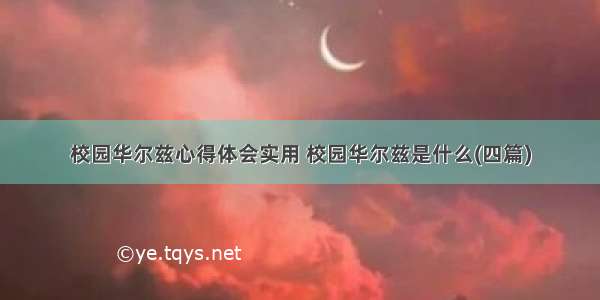 校园华尔兹心得体会实用 校园华尔兹是什么(四篇)