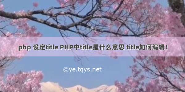 php 设定title PHP中title是什么意思 title如何编辑！